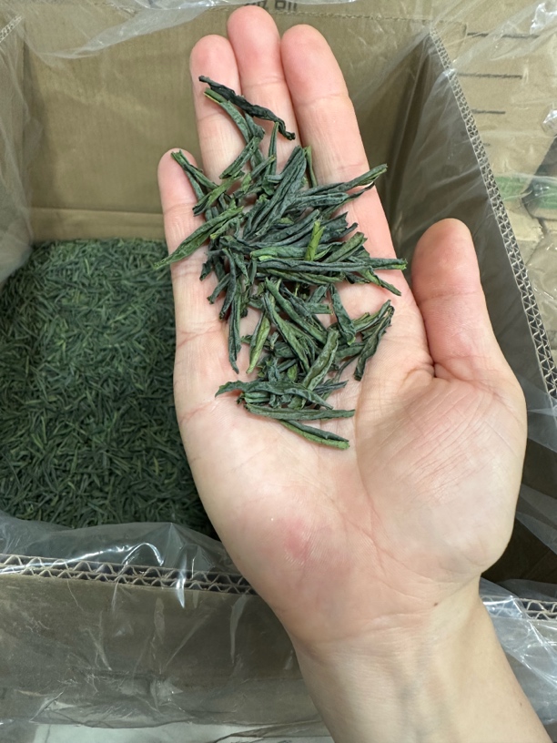 2025年新茶  机制兰香 六安瓜片 A-88
