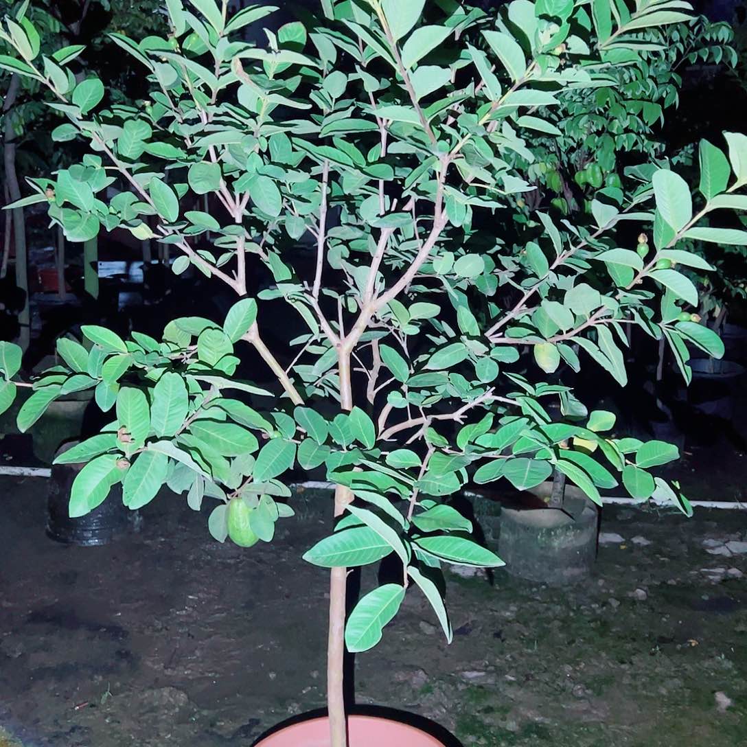 黄***！完全开放111111111