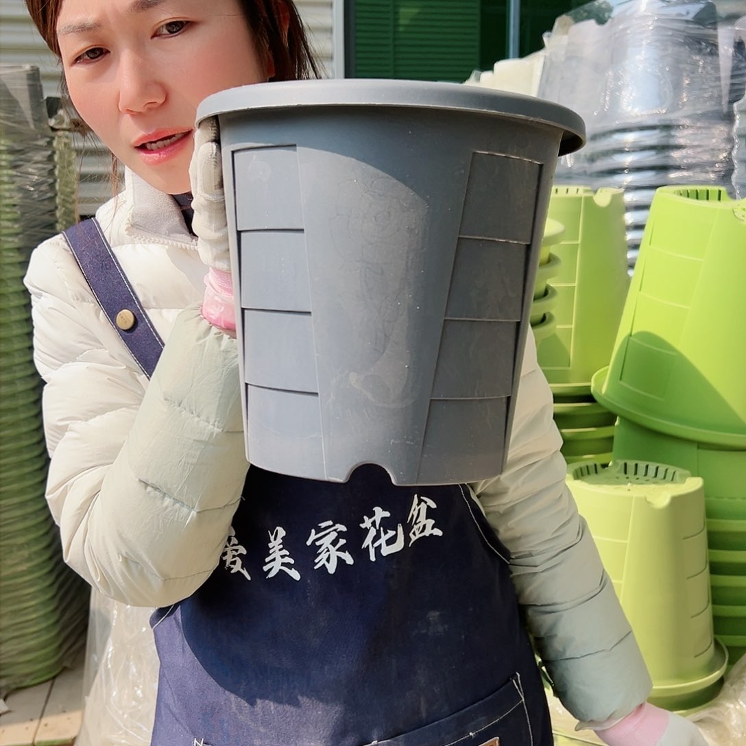 树脂玫瑰盆280#灰黑5个无托