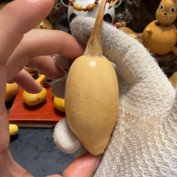 ****咝6…………………………………………