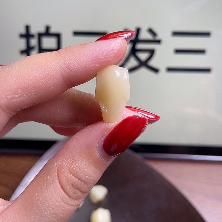 手串/手链驼骨0108