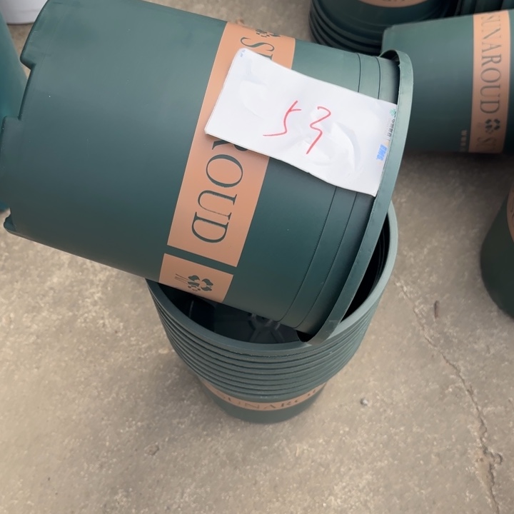 编号是53号的53号的花盆