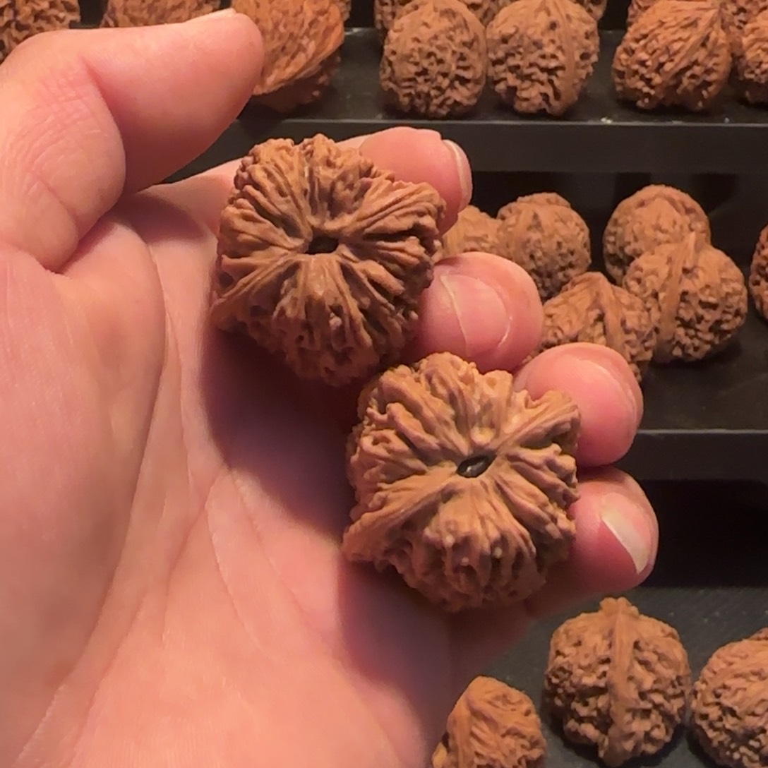 桃核把件涿鹿高炮36