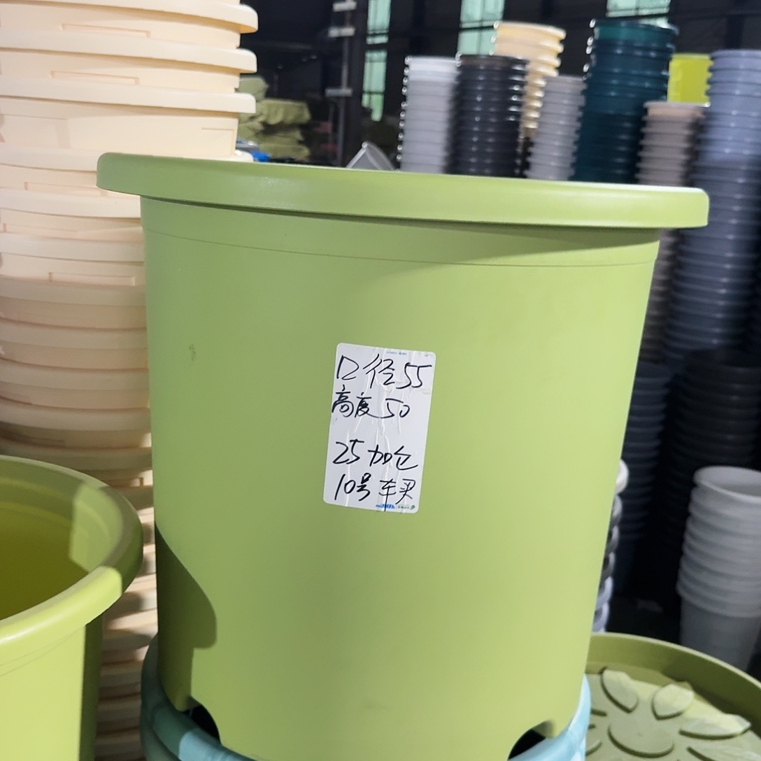 微瑕55口径无拖果绿2个