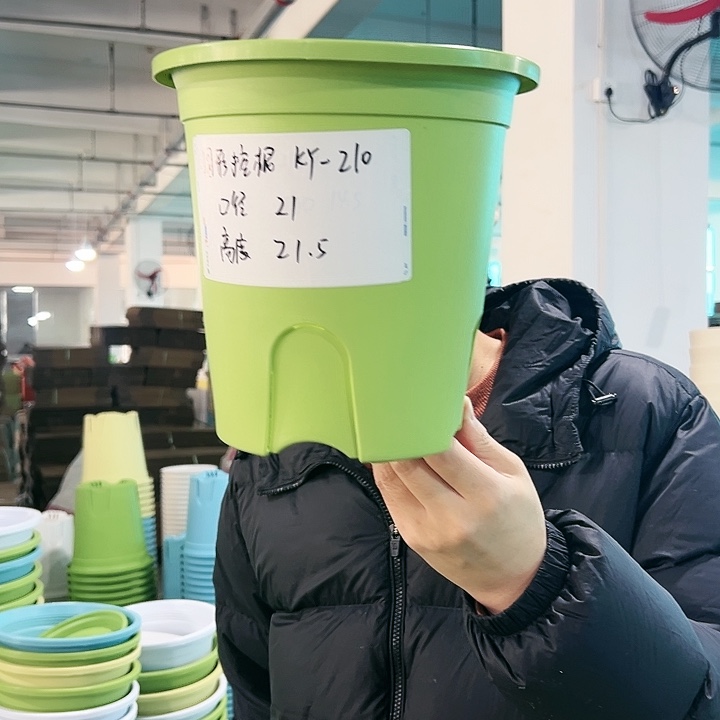 正品圆控口21高21果绿无托5只