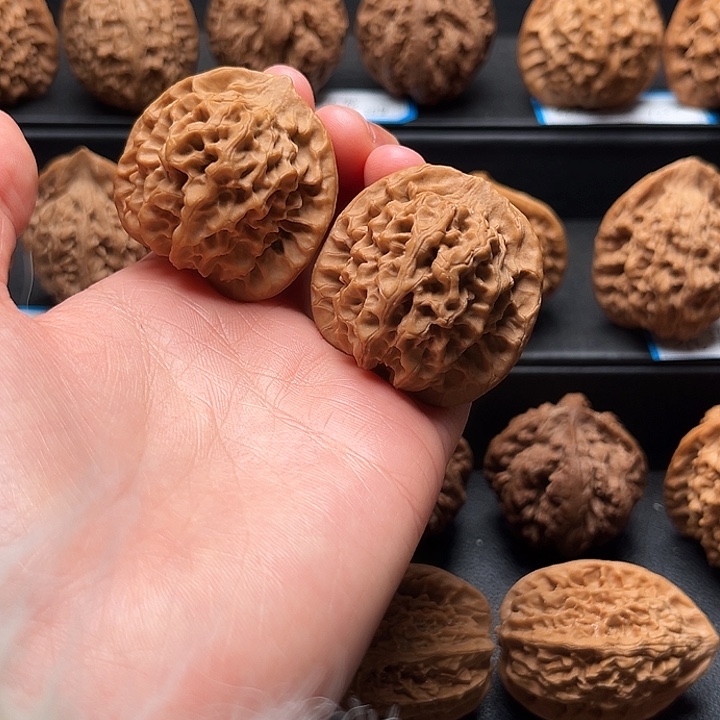 核桃38黄尖秦闷狮子头不退不换