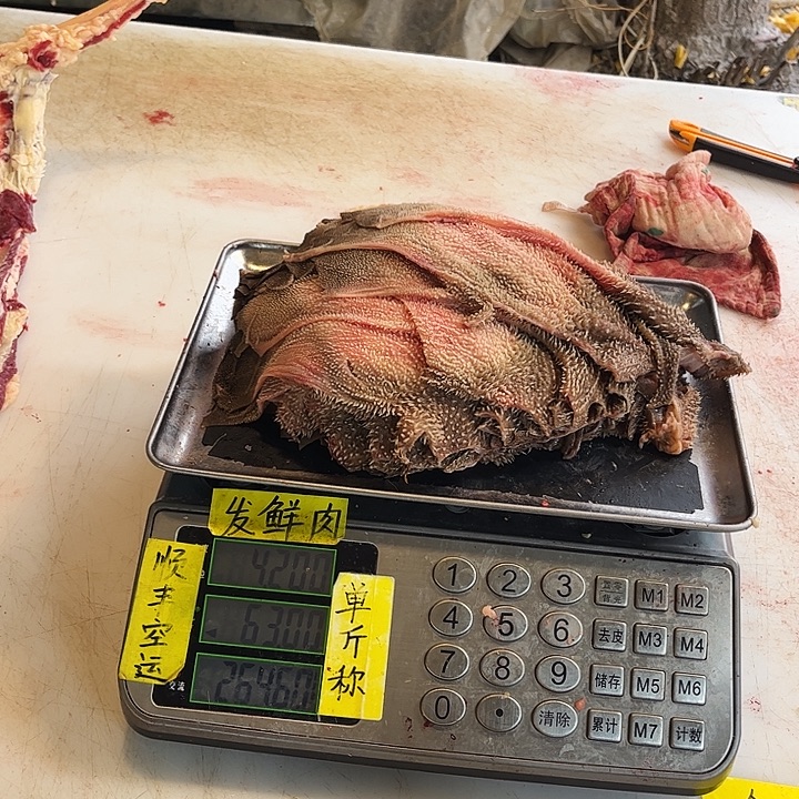 普***善18中国大陆散装但法国刚好回家