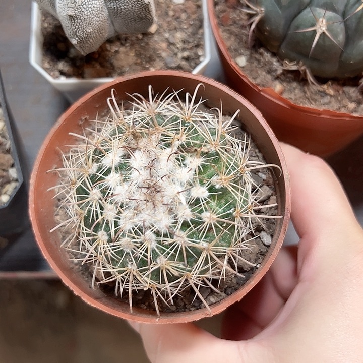 爆***巫哈哈哈哈哈哈哈哈哈哈哈哈哈哈