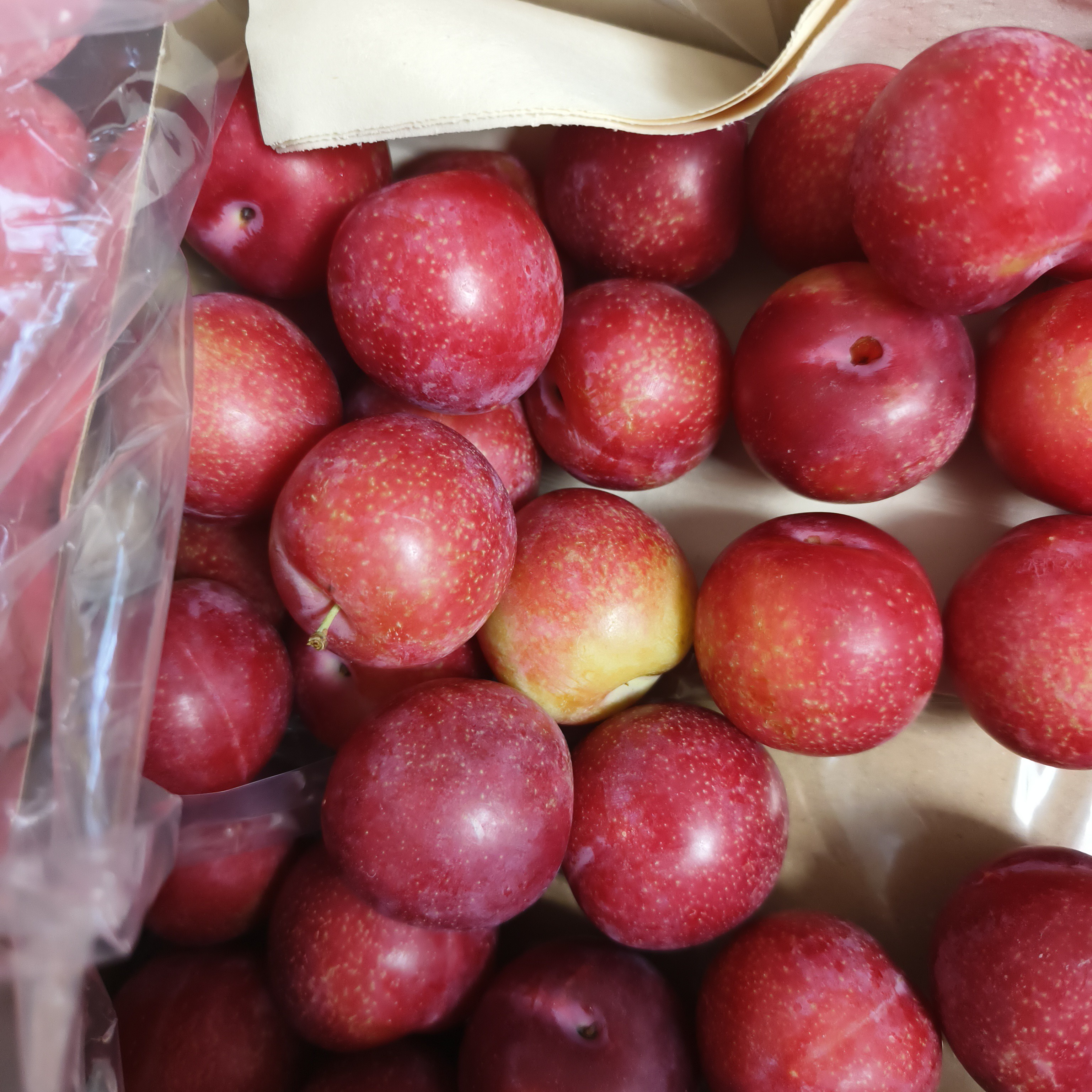 樱桃李双J5斤（沈阳跑腿）