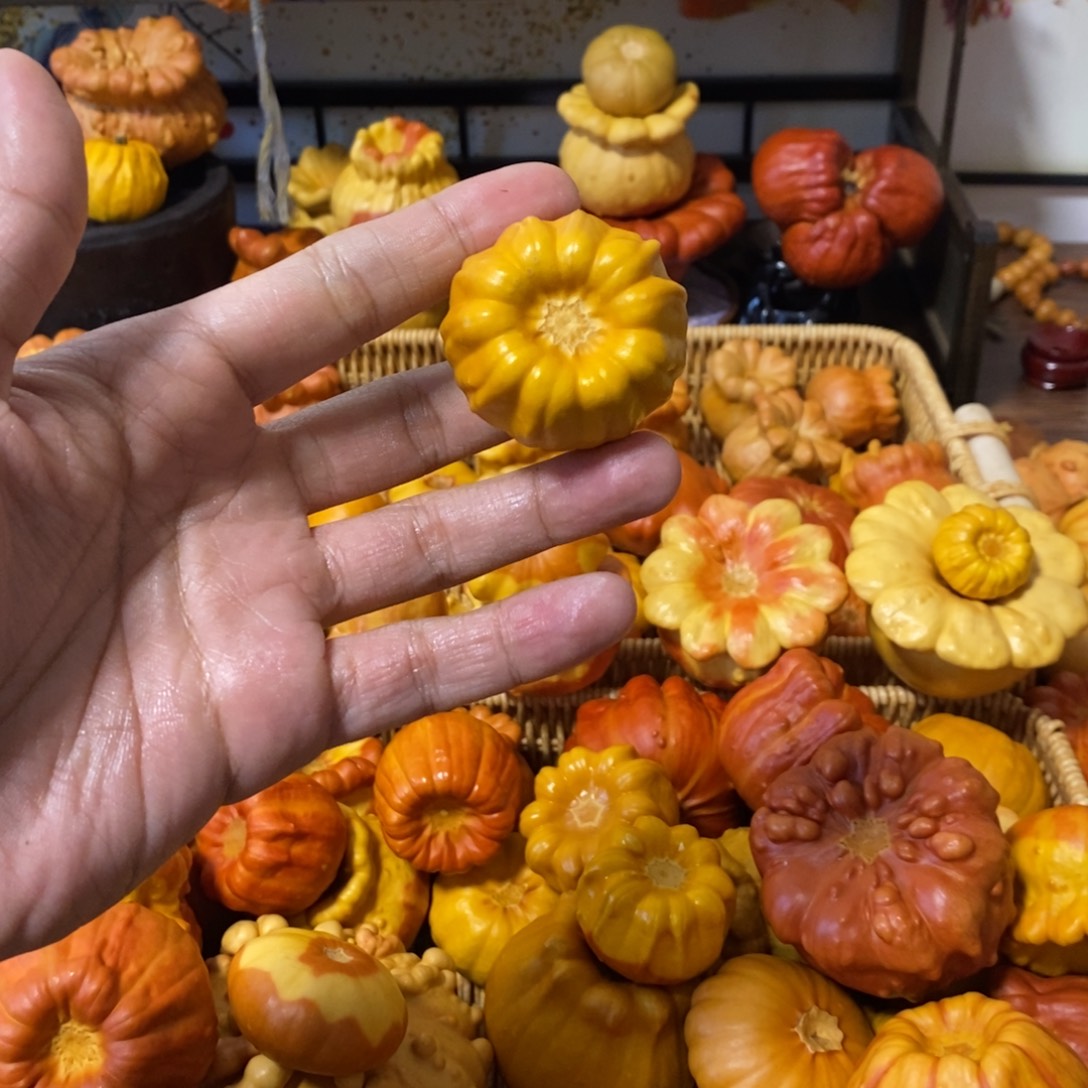 ༺***༻6666666666666666666