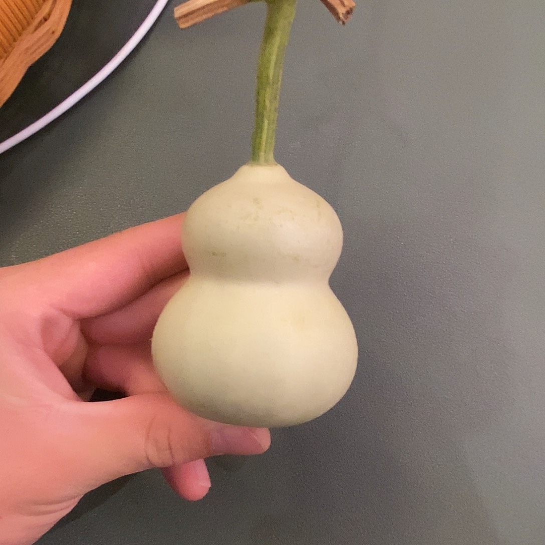 Z*舍的出品精选天然葫芦