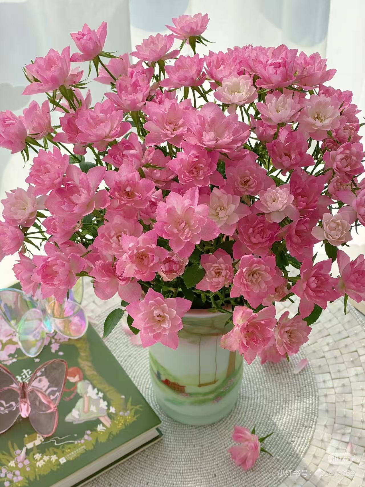 天河繁星——玫瑰 颜色粉嫩