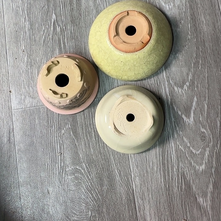 繁***季三个盆包邮价出让，不退不换，