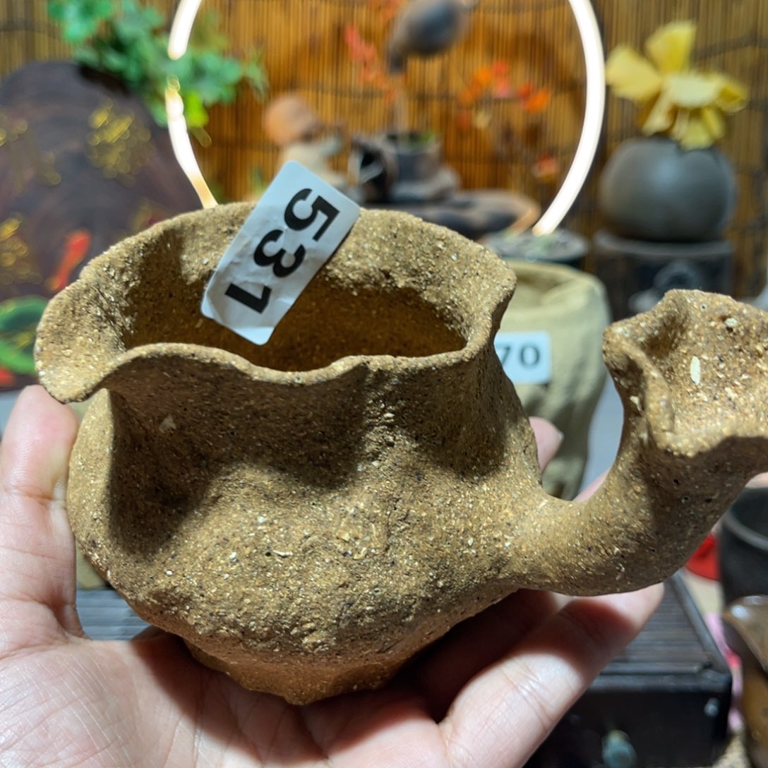 木村信弘柴烧保平