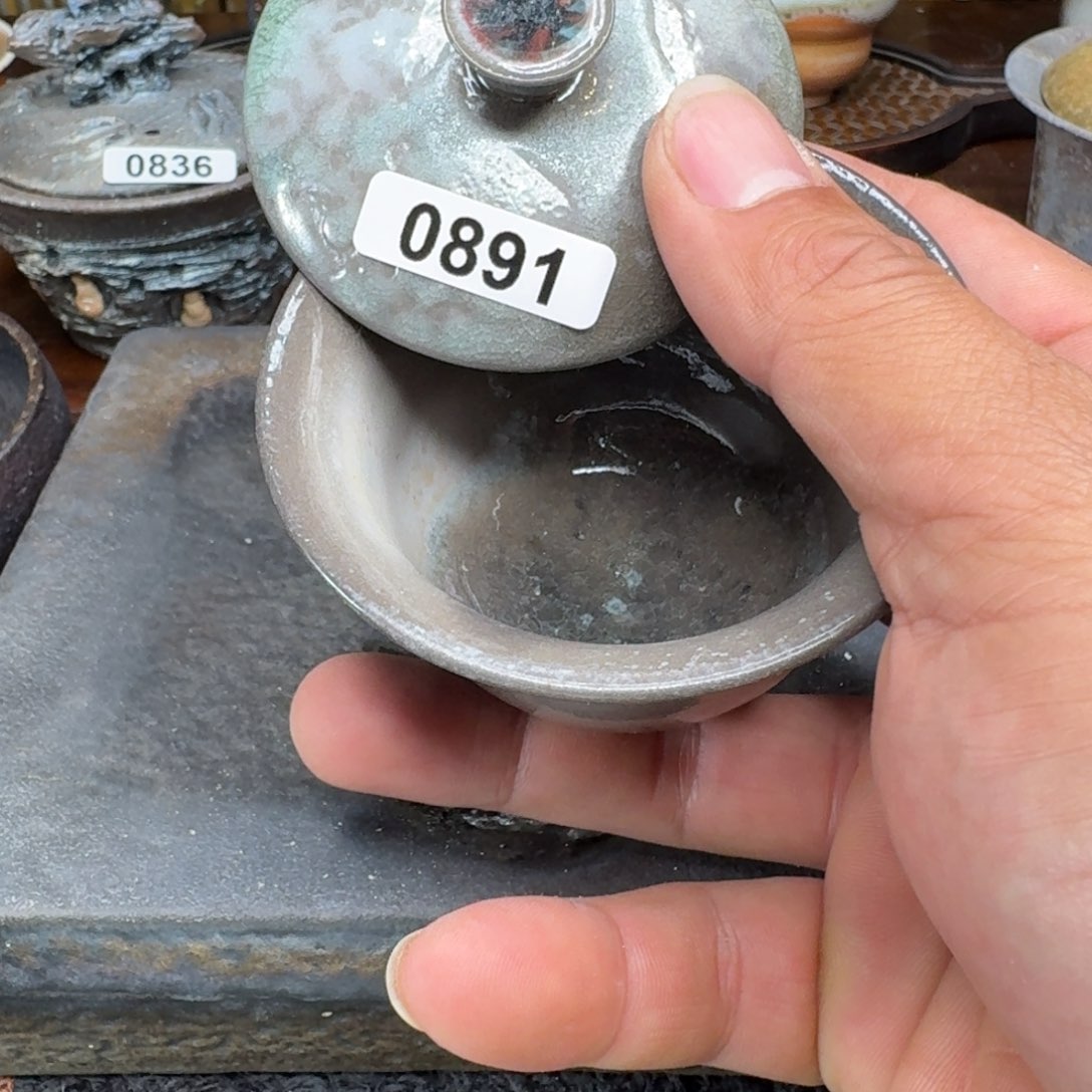 缸正月初一新春快乐891