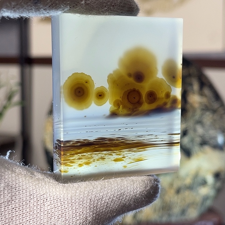 风景画面图案美景