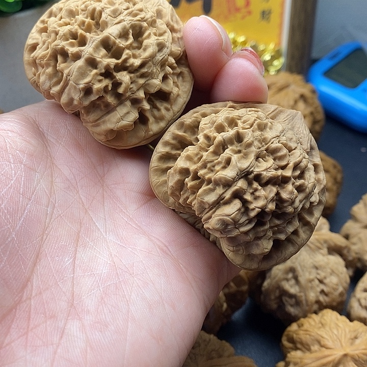 吊坠龙脊菩提官帽49