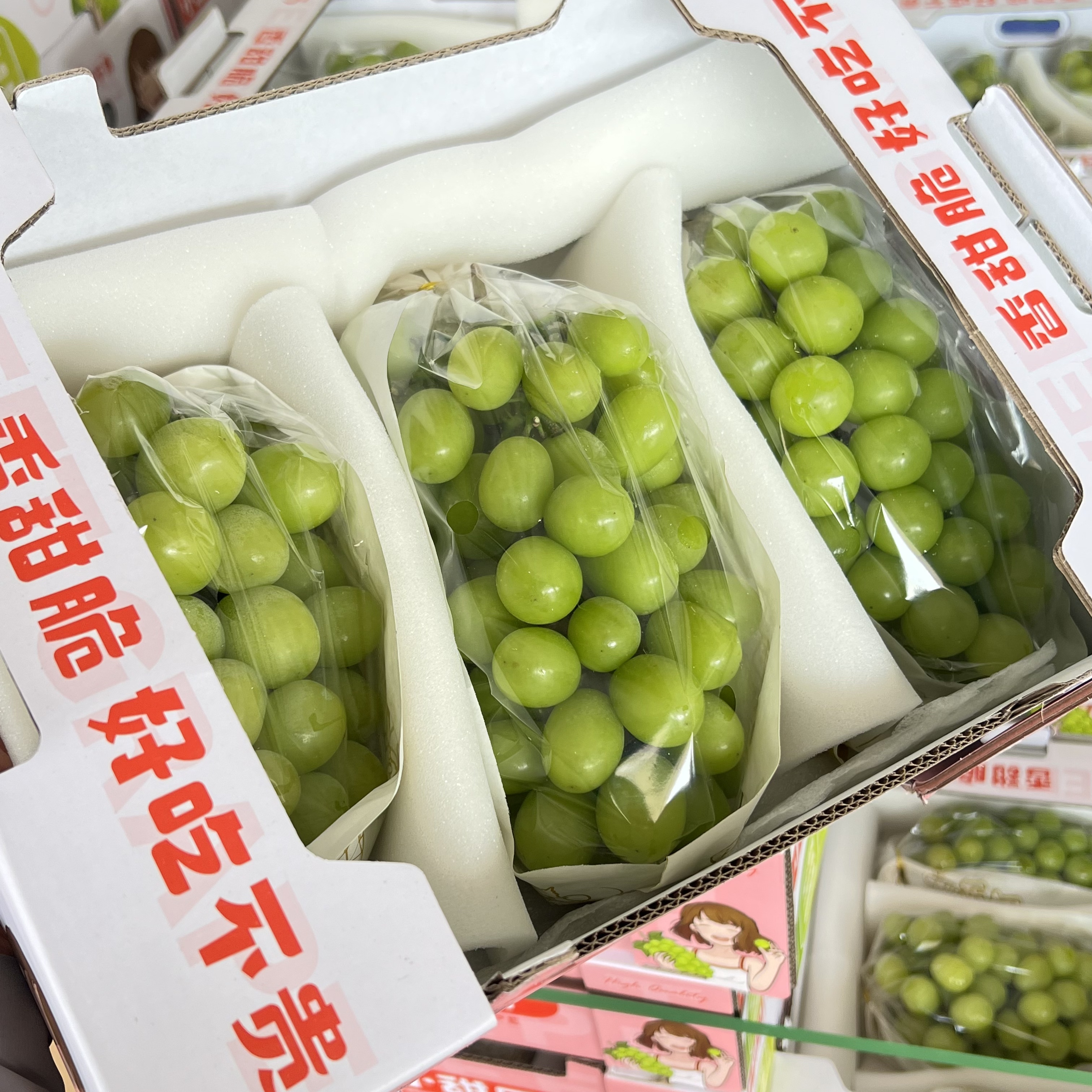 【小甜口晴王】香甜无籽皮薄 新鲜水果 礼盒装原箱发货4斤装云南省