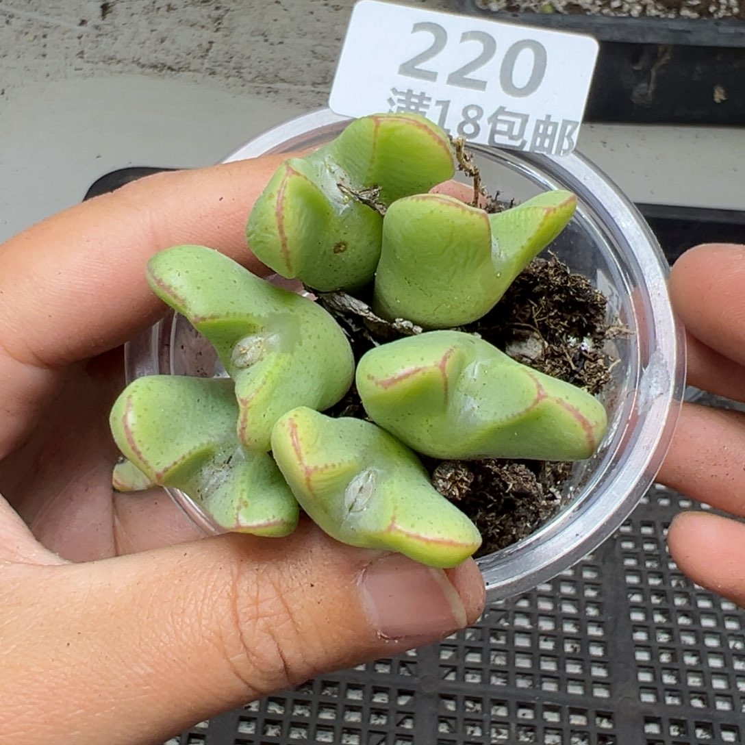 【闪购商品】220……