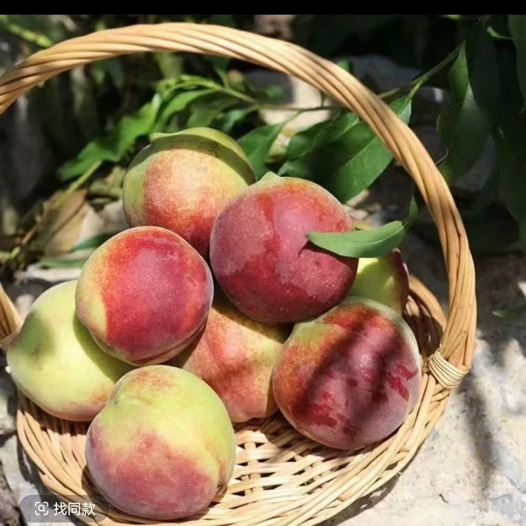 山东沂蒙山冬桃脆甜多汁离核红心新鲜应季水果现摘现发