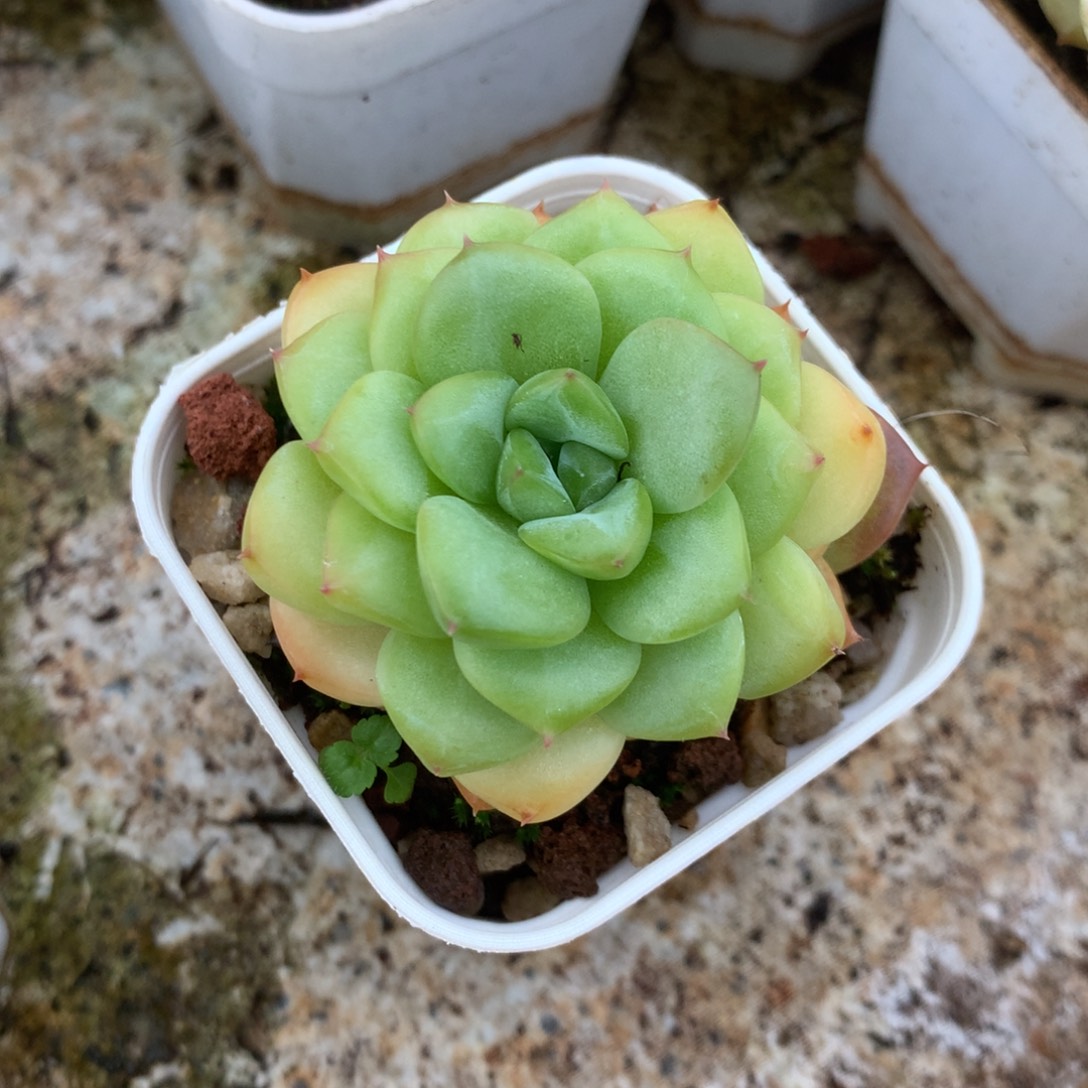 哈哈哈哈哈哈哈哈哈哈哈哈