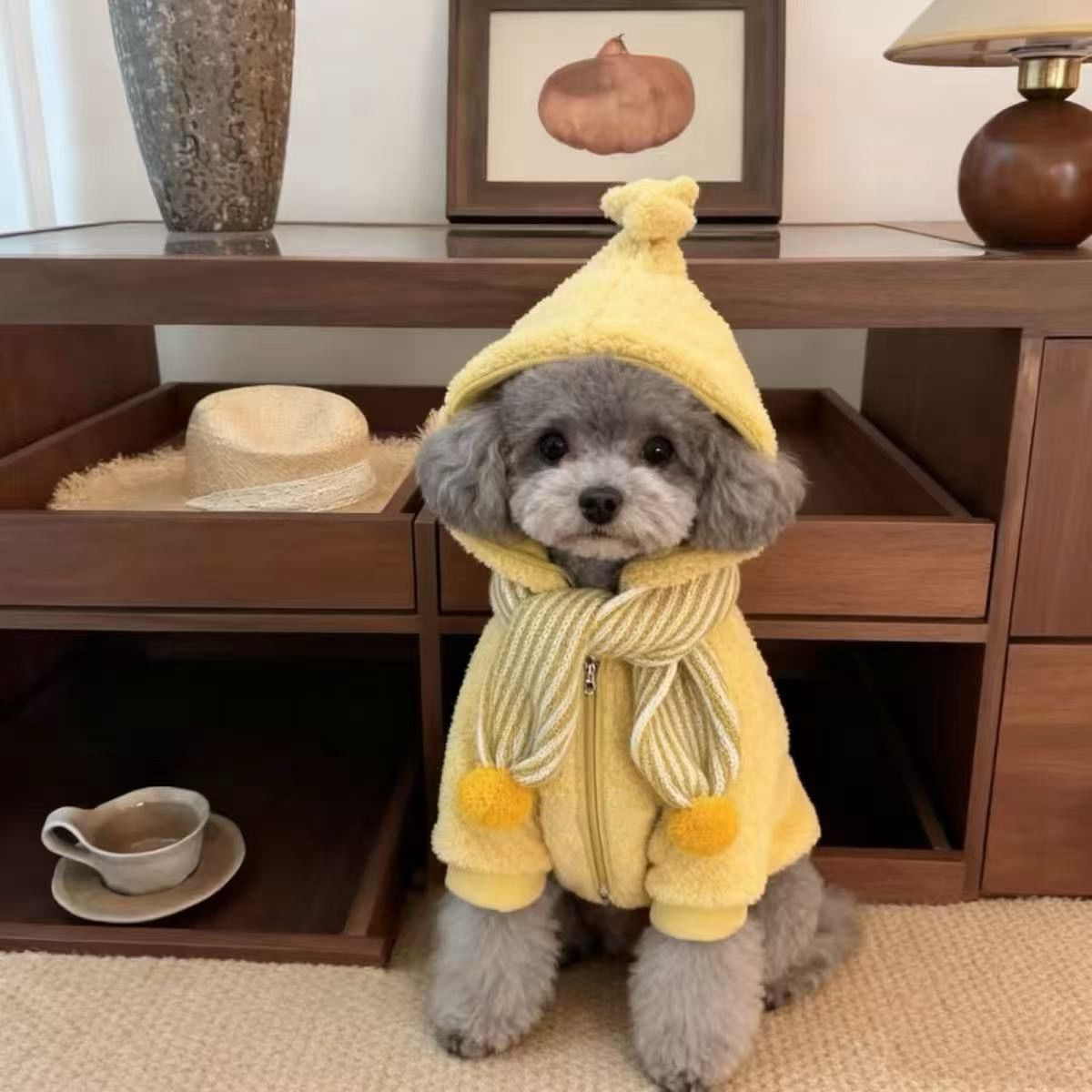 原创星星人宠物衣服韩系狗狗猫咪两脚连帽衣泰迪马尔精灵外套棉服