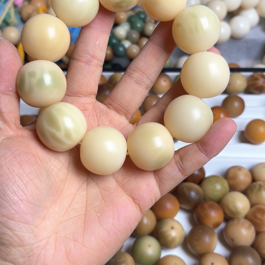 菩提根/象牙果手串卡25黄中飘绿
