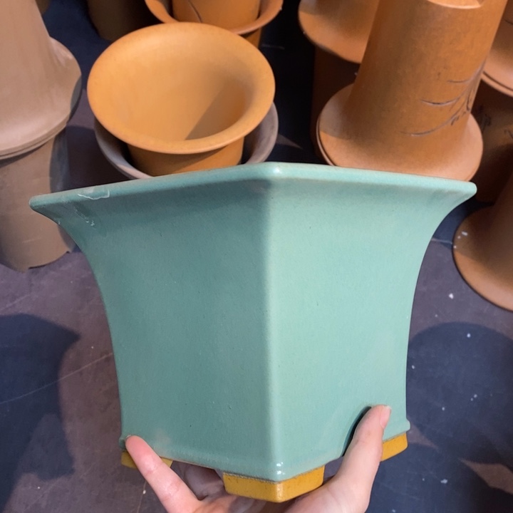 紫砂花盆福利来啦