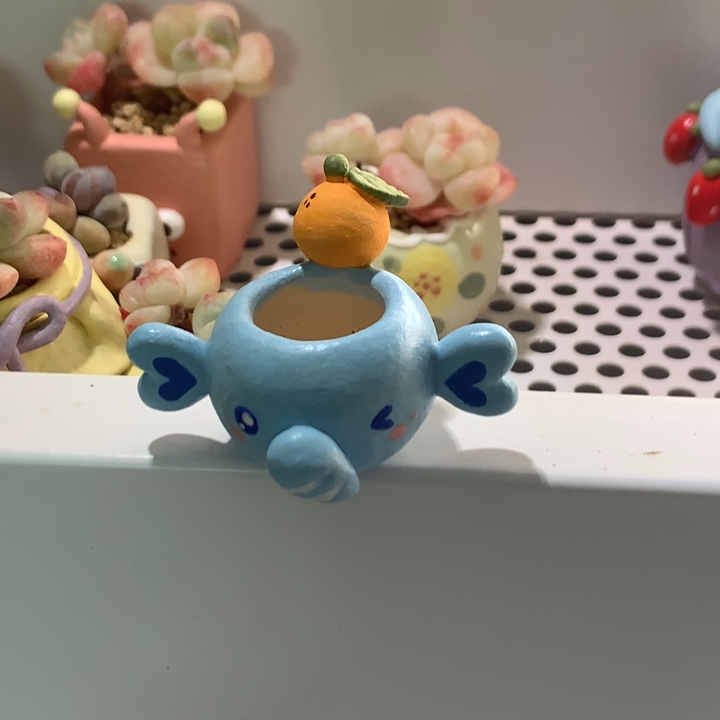 一个盆             
