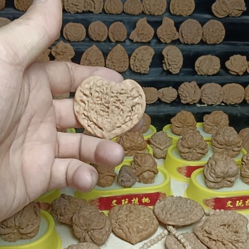 上***嘉核桃桃心压扁单只价格