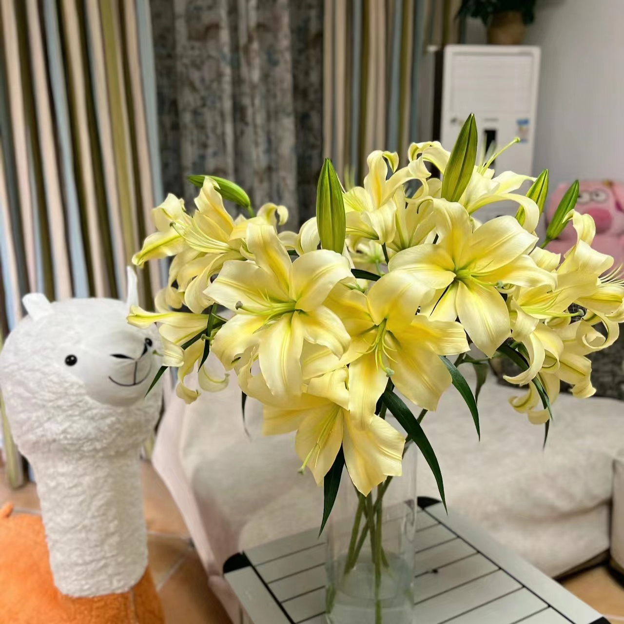 【黄色香水百合AK】黄色香水百合 | 单品全场任意满两单鲜花包邮