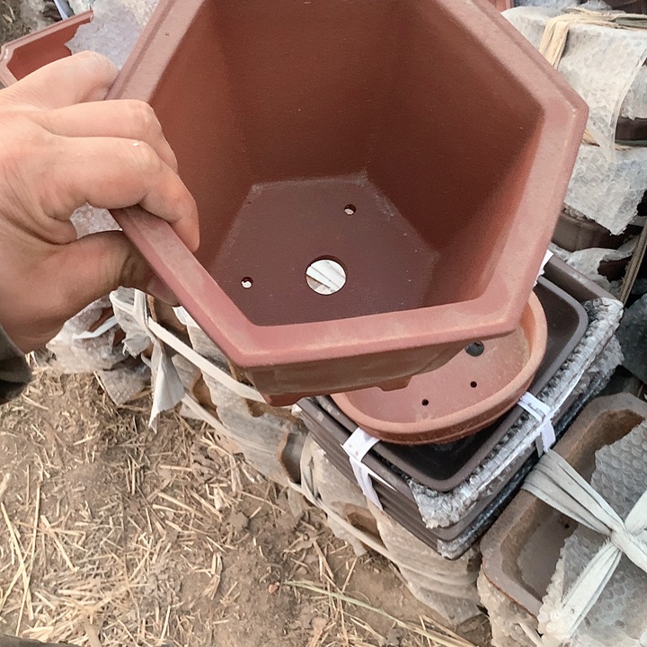 紫砂没有那么好过自己会