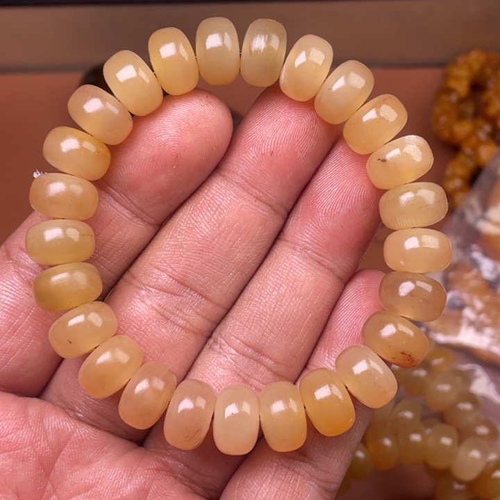 驼骨其他人工养殖