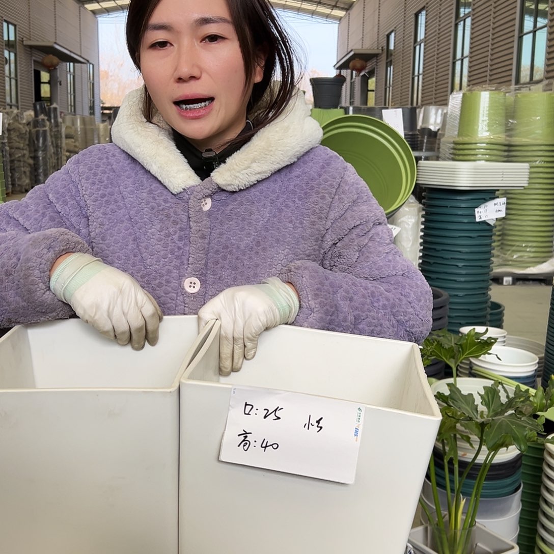 瑕疵方盆小号白色2个无托
