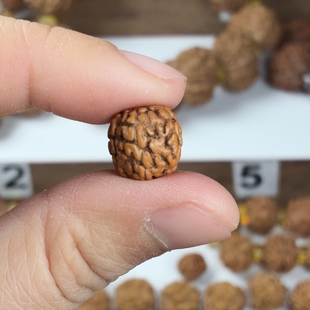 手串金刚菩提原生态精品小金刚手持