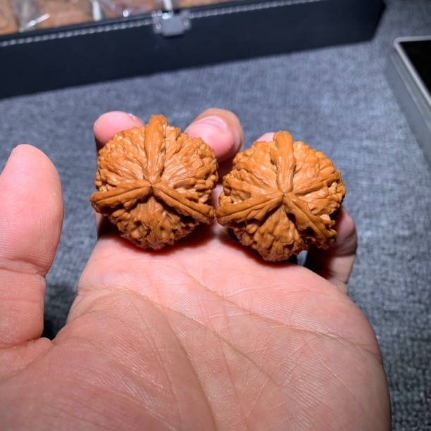 转圈37白狮子三棱文玩核桃三棱正奔