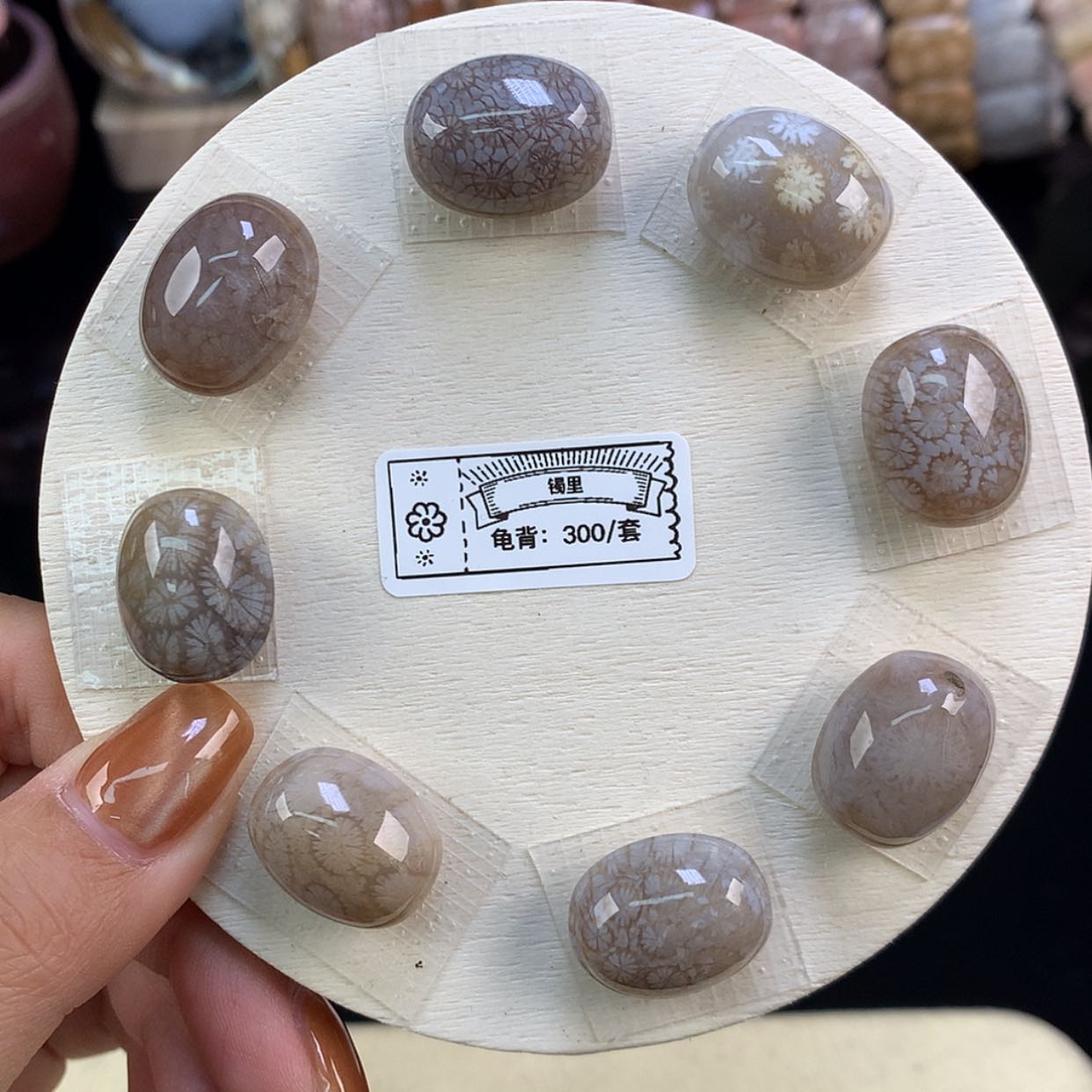 【闪购商品】颈饰未镶嵌硅化珊瑚（珊瑚玉）福利套装龟背（11号）