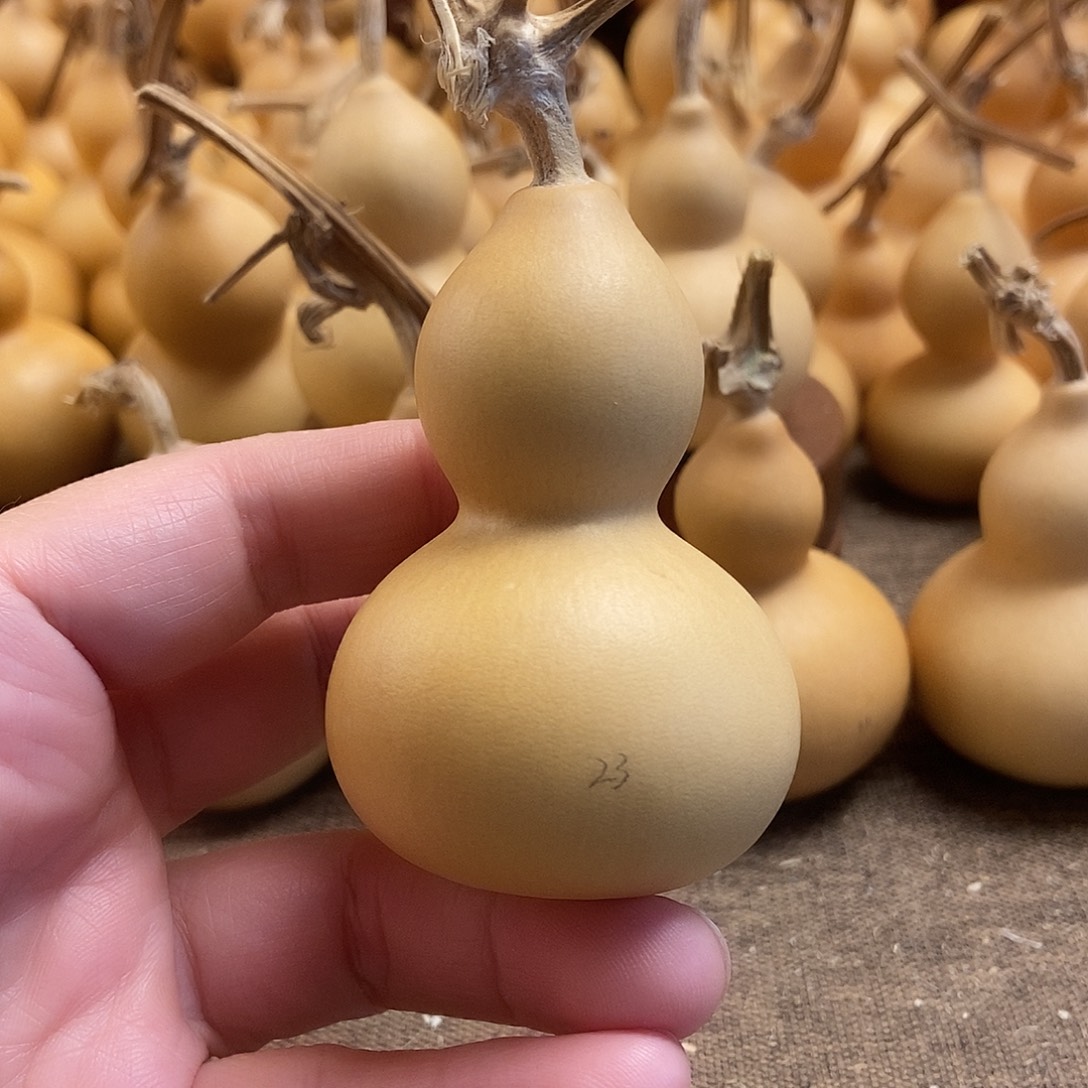 文玩葫芦 完美主义者 慎拍23