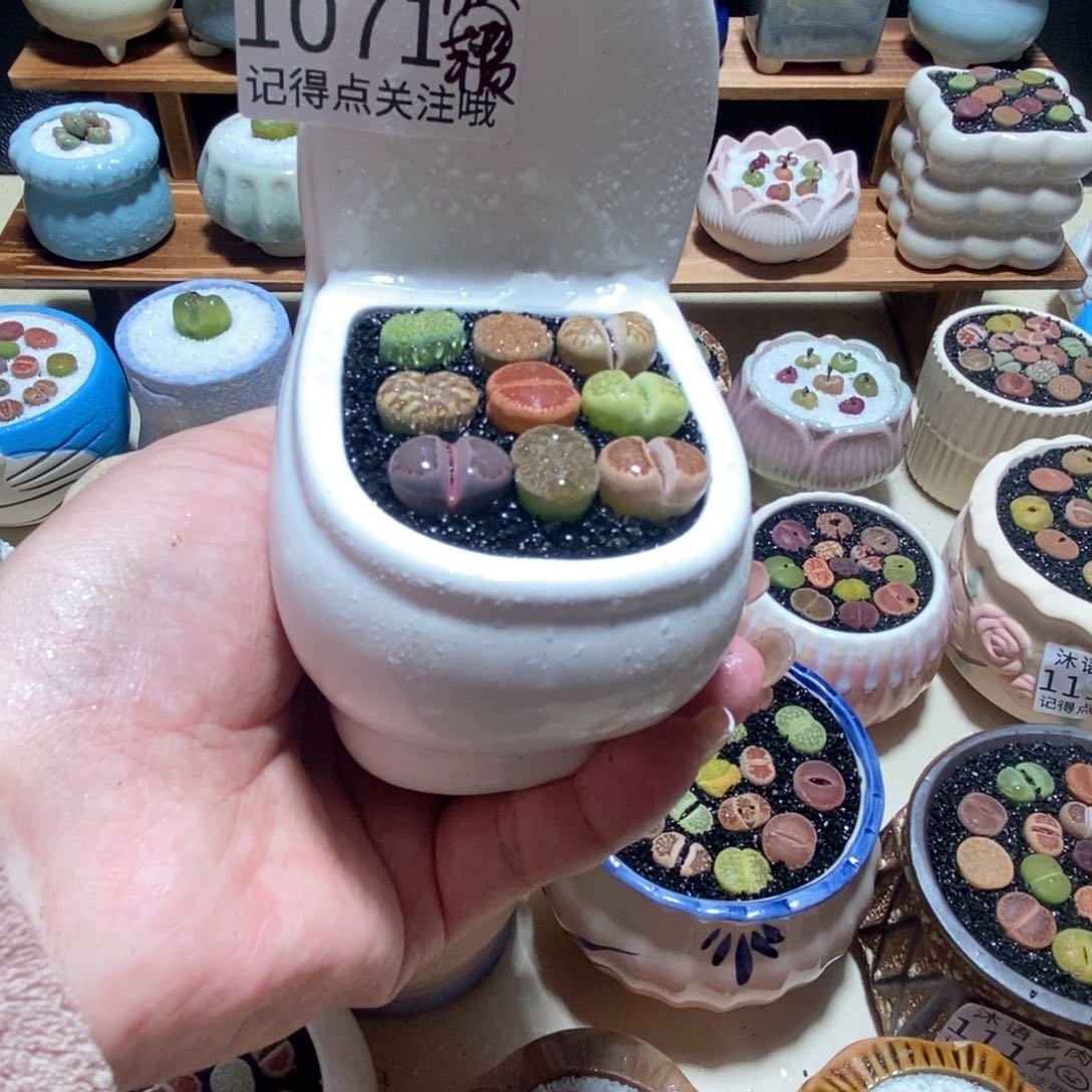 所见即所得 一物一拍 1071