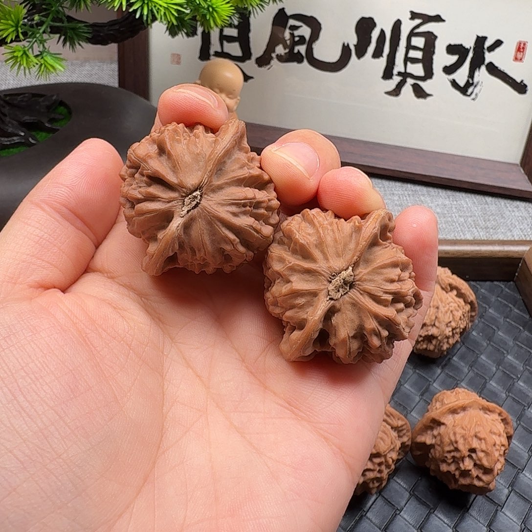 核桃全品新果宫灯40
