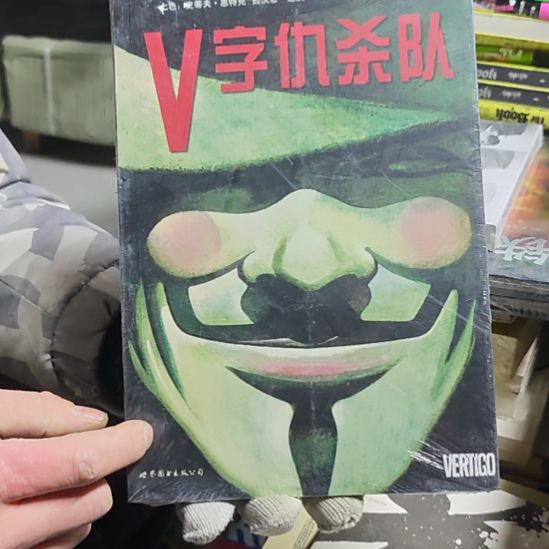 V字仇嘎队平装库存书库存书