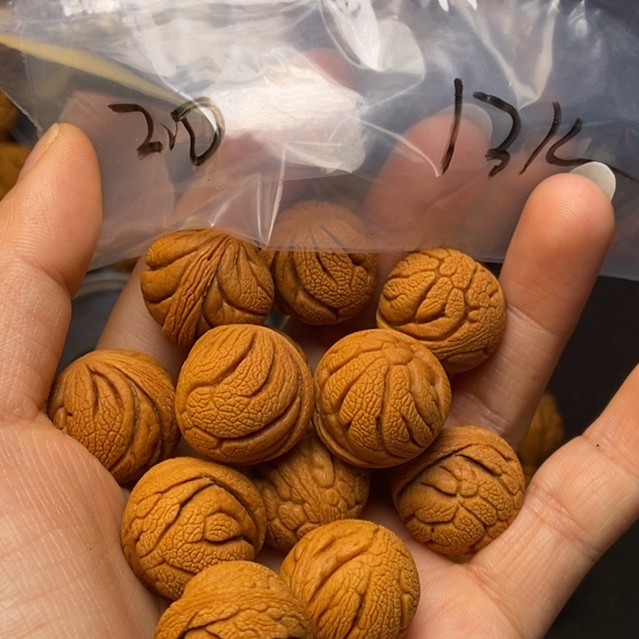 吊坠桃核秦岭龙纹桃核20尺寸