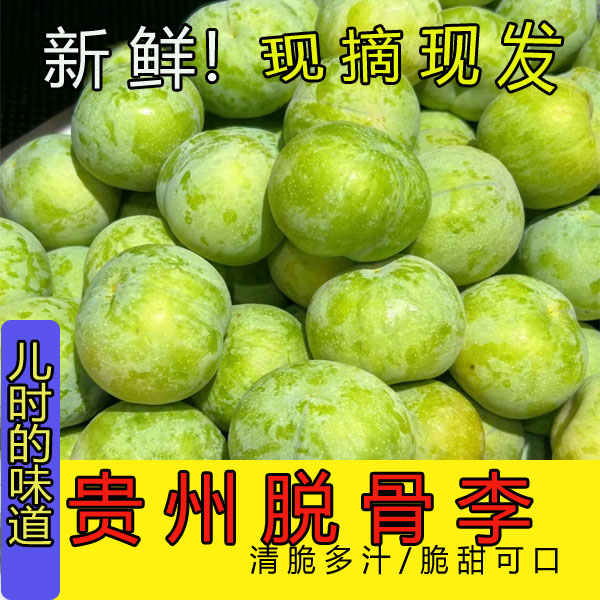 贵州高山现摘脱骨奈李脆甜多汁新鲜应季水果孕妇水果原生态