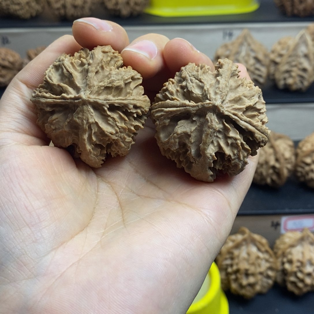 桃核吊坠秦岭西瓜灯笼40