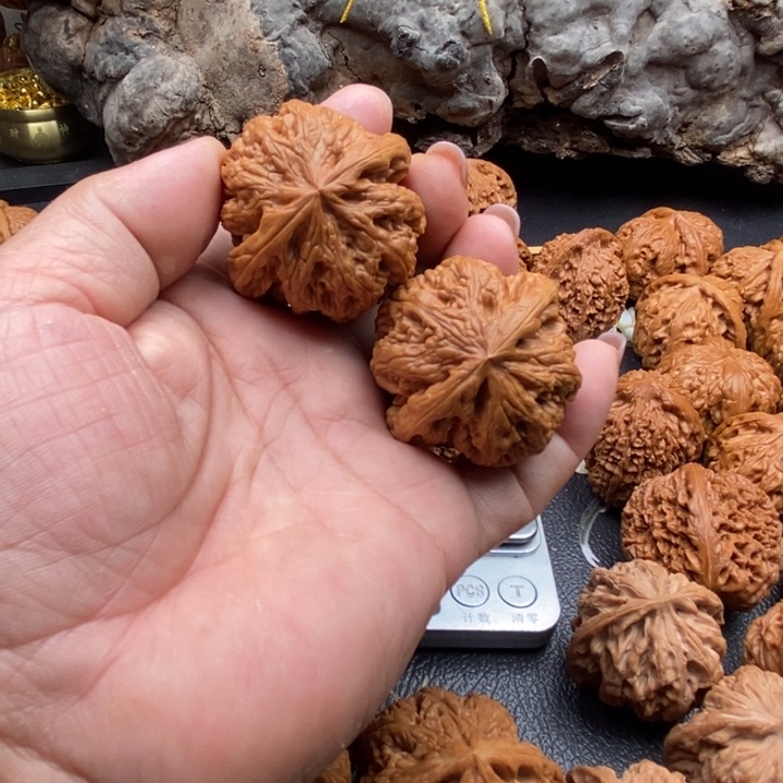 微修41大粗筋拍吧