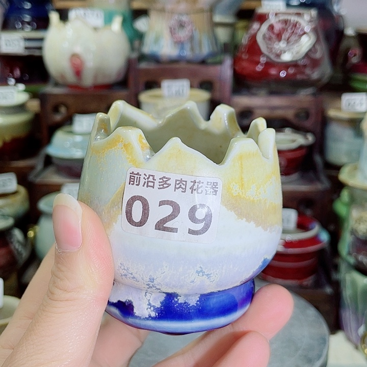 狼盆内口径5高度6