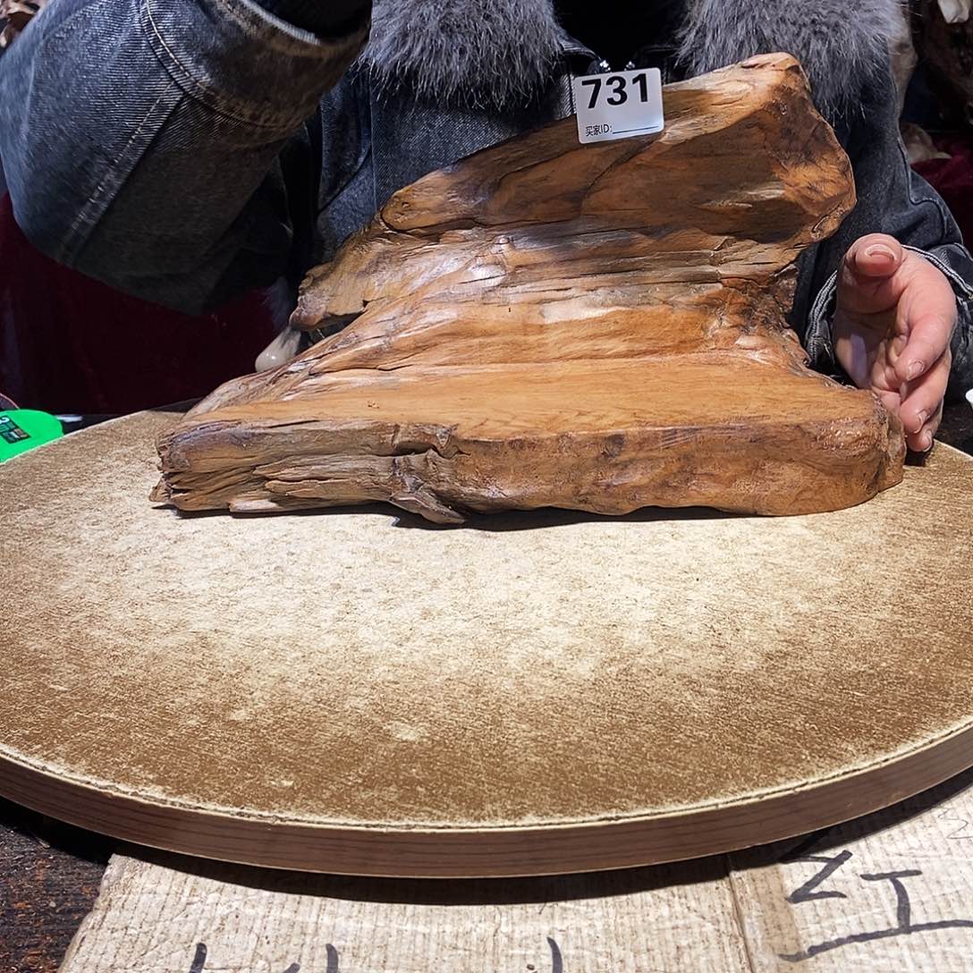 731。株木随行根艺