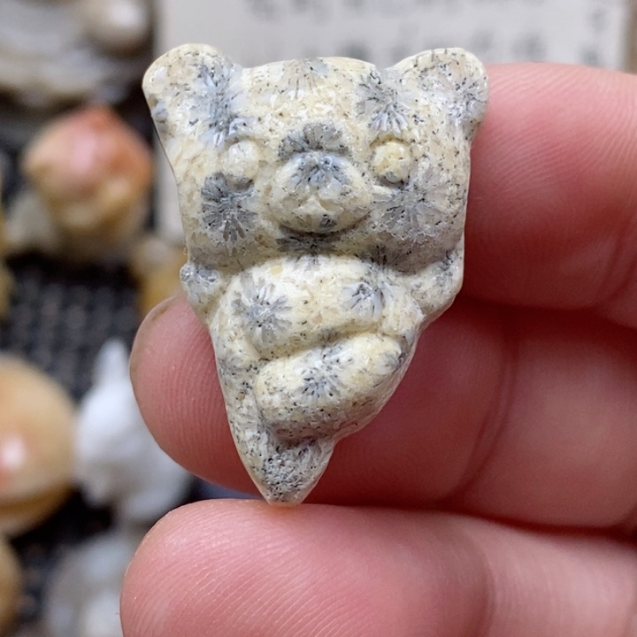 颈饰未镶嵌硅化珊瑚（珊瑚玉）有瑕 小