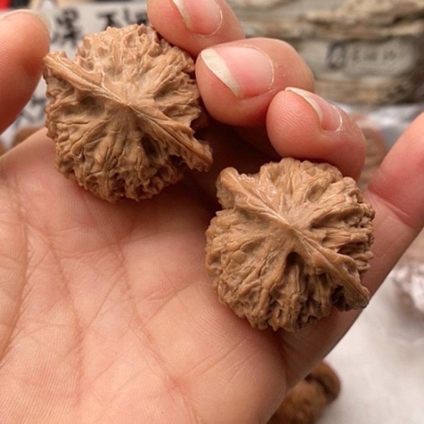 【闪购商品】吊坠文玩核桃野生果