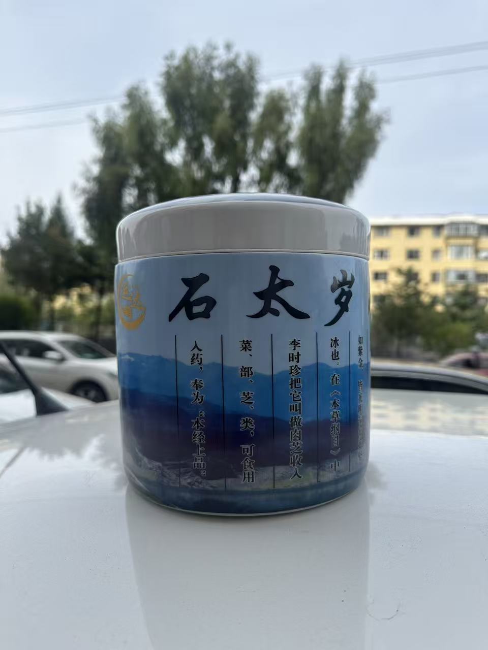 长白山石太岁陶瓷罐摆件